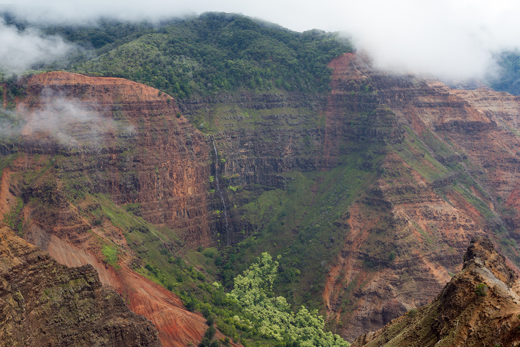 Kauai - 011.jpg